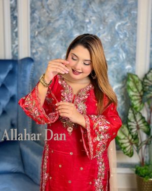 Stitched Pakistani Inspaird (RED 1C)