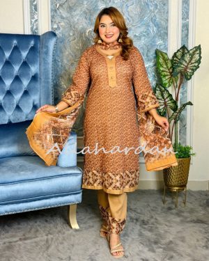 Stitched NSalwar Kameez (500) (Copy)