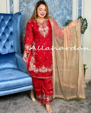 Stitched Pakistani Inspaird (RED 1C)