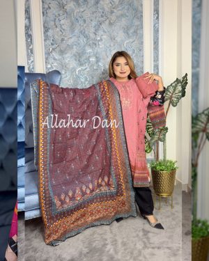 Stitched Salwar Kameez (6-1205-Misty-1) (Copy)