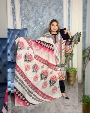 Stitched Salwar Kameez (6-1205-BW) (Copy)