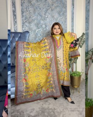 Stitched Salwar Kameez (6-1205-MASTER-2) (Copy)