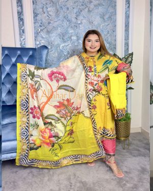 Stitched Salwar Kameez (6-1212) (Copy)