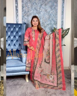 Stitched Salwar Kameez (6-1210) (Copy)