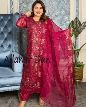 Pakistani Elite Design Party Wear (CM-14)