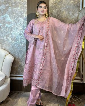 Pakistani Elite Design Party Wear (CM-19) Ready Peas