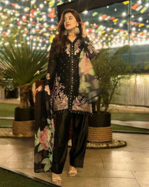 Pakistani Elite Design Party Wear (CK-09)