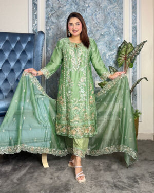 Pakistani Elite Design Party Wear (CK-11)