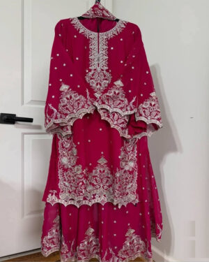 Pakistani Elite Design Party Wear (CK-07)