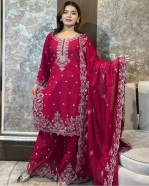 Pakistani Elite Design Party Wear (CK-07.)