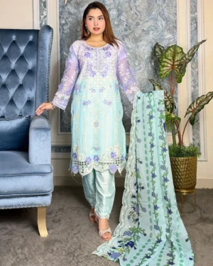 Pakistani Elite Design Party Wear (CK-04)
