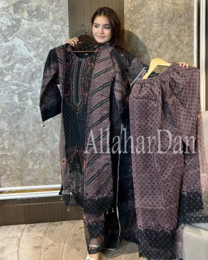 Pakistani Inspaird Elite Design Party Wear {রেডি ড্রেস- CM-20}