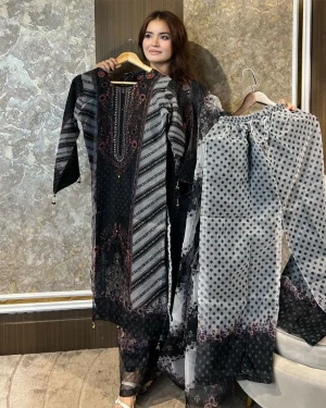 Pakistani Inspaird Elite Design Party Wear {রেডি ড্রেস- CM-24}